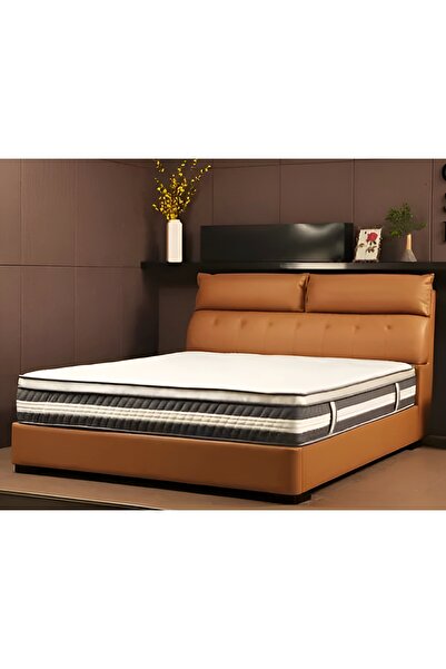 PalmirAtic Pufii Baza Ve Başlık Takımı