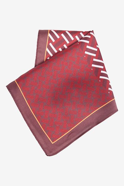 ALTINYILDIZ CLASSICS Men's Burgundy-Red Patterned Handkerchief