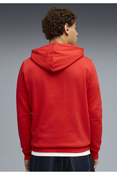 Puma F1® Essentials Logo Graphic Hoodie Men