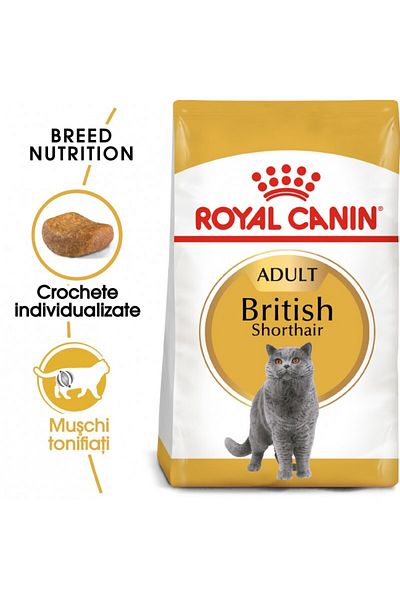 Royal Canin Royal Canin British Shorthair Adult dry cat food, 2 kg