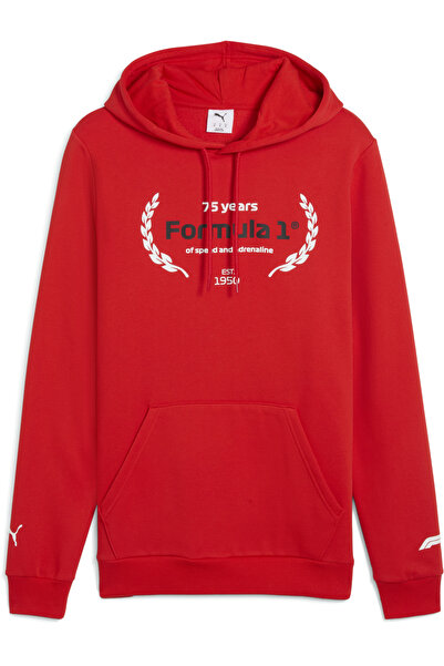 Puma F1® Essentials Logo Graphic Hoodie Men