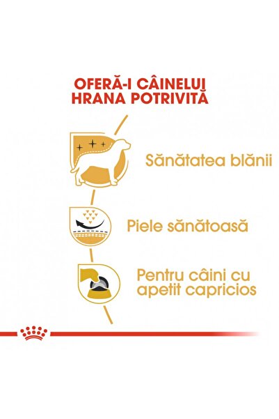 Royal Canin Royal Canin West Highland Terrier Adult dry dog food Westie, 3 kg