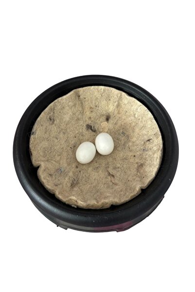 AN-GA AVM Güvercin Folluk, Keçe ve Maket Yumurta