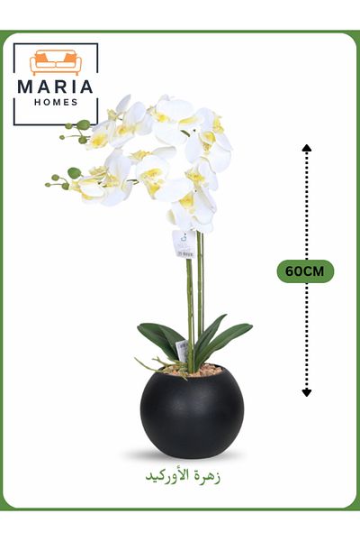 MARIA HOMES White Artificial Orchid in Black Pot – 60cm Decorative Plant with 2 Branches