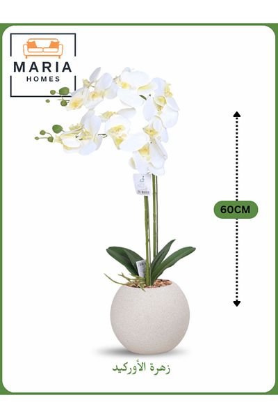 MARIA HOMES White Artificial Orchid in Off-White Pot – 60cm Decorative Plant with 2 Branches