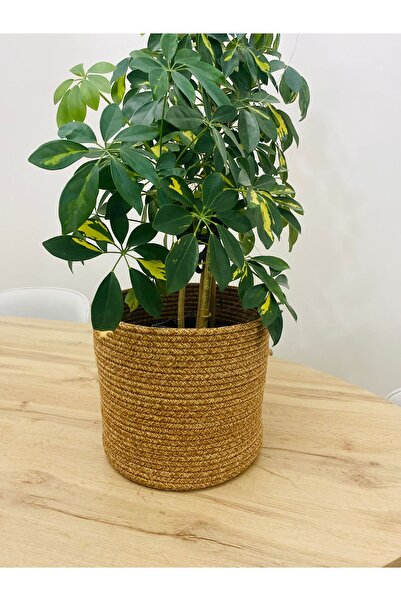 HLM TEKSTİL Hasır Saksılık, Çok Amaçlı Hasır Sepet, Bahçe Düzenleyici 25x25