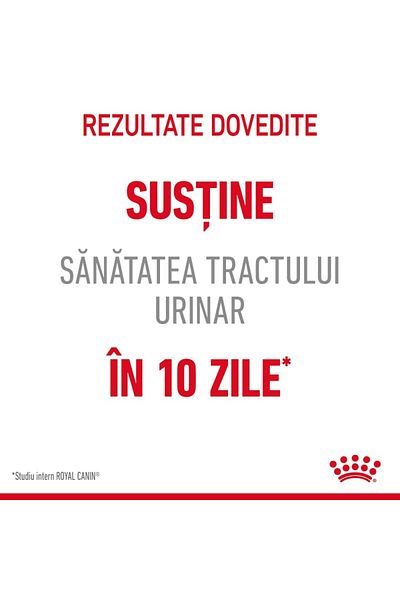 Royal Canin Urinary Care Adult Dry Cat Food For Urinary Tract Health, 10 Kg