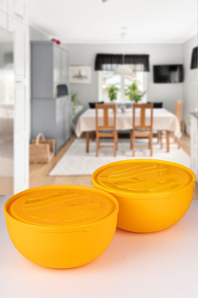 Lizzy 2 Liter 6 Lt Tupper Model Storage Container Basin, Dough Kneading Soft Leakproof Lid