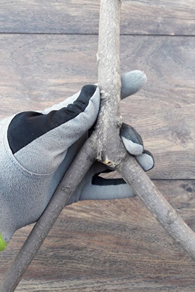 Vixpet Venty Natural Parrot Pillar 41 cm | Sultan, Budgerigar, Lovebird, Forpus, Monk, Lori, Senegal - T419