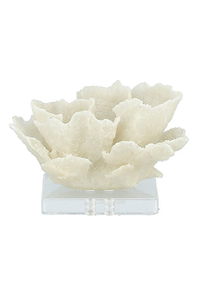 homez ديكور منزلي من الراتينج بلون المرجان مع قاعدة أكريليك - 14.2*13*11 سم