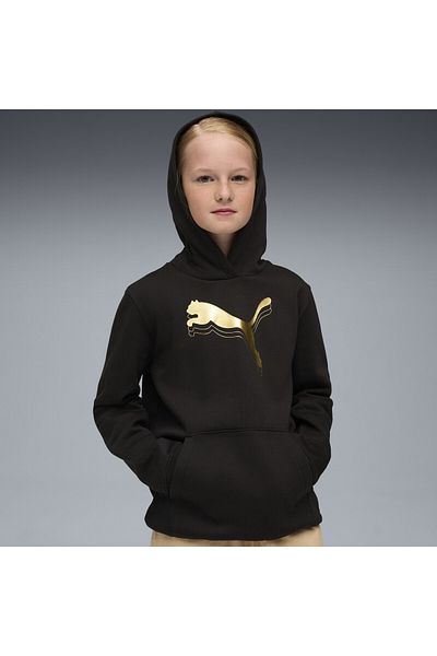Puma Essentials Metallic Hoodie Youth