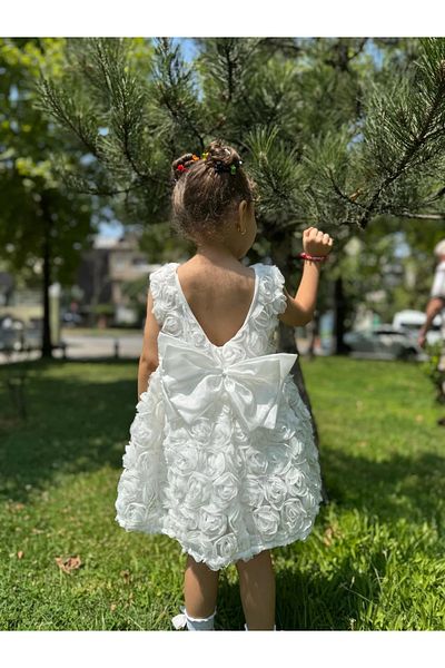Minizade Baby Girl Kid's Short Sleeve Rose Back Detail Bow Special Occasion Birthday Party Wedding Dress