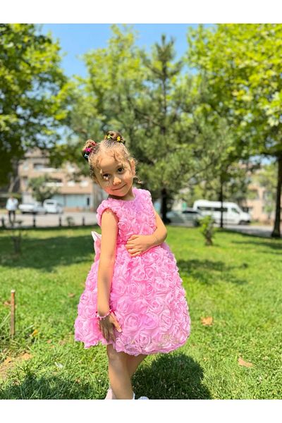 Minizade Baby Girl Kid's Short Sleeve Rose Back Detail Bow Special Occasion Birthday Party Wedding Dress