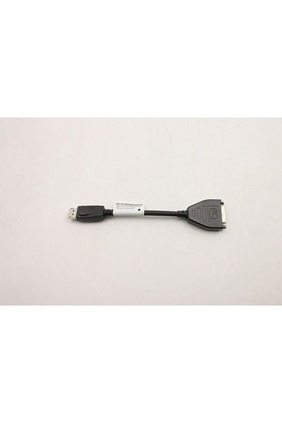 Inna marka Cablu adaptor Lenovo DisplayPort la DVI, 5C10V06000