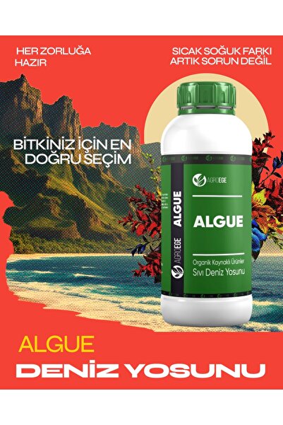 AGROEGE ALGUE (İthal Sıvı Deniz Yosunu gübresi) 1 Lt