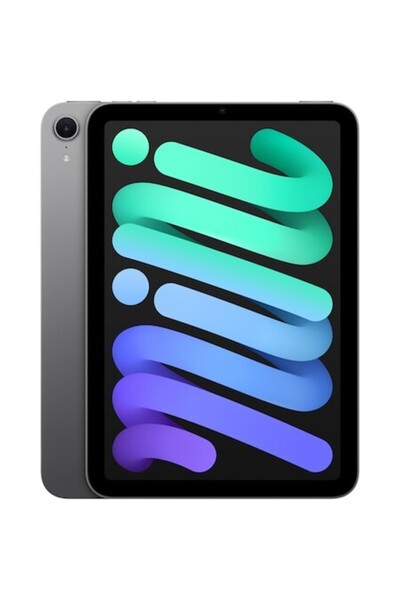 Apple iPad mini 7 (2024), 128 GB, Wi-Fi, gri spațial