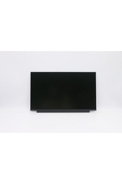 LENOVO Thor DISPLAY 15.6" HD TN, 5D10W35433