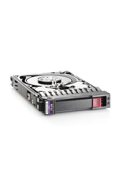 HP Enterprise 300GB 6G SAS 15K 2.5in, 652611-S21