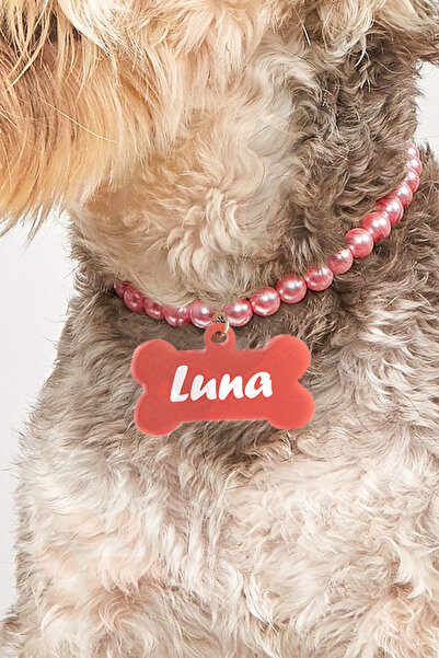 Petella Pembe İncili İsimli Köpek Tasması İsimli Köpek Kolyesi