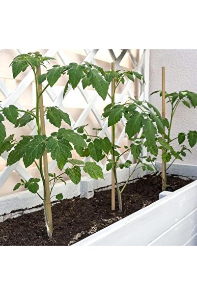 genric FFD Natural Bamboo Plant Stakes – 10pcs 100cm Garden Support Sticks for Indoor & Outdoor Plant