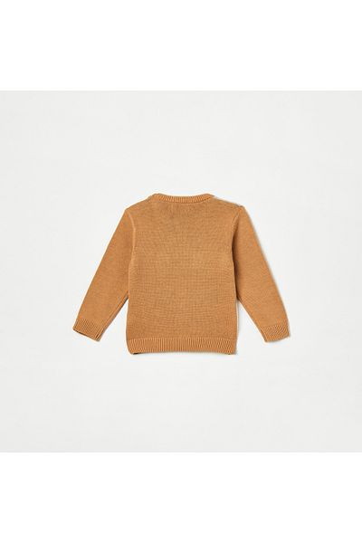 Juniors Applique Detail Sweater with Long Sleeves and Crew Neck