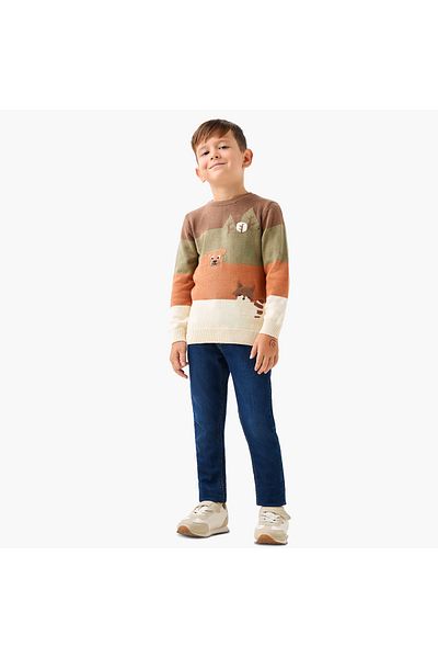 Juniors Colourblock Crew Neck Jumper with Long Sleeves