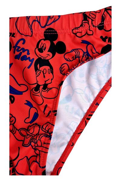 ORIGINAL MARINES Swimming Briefs