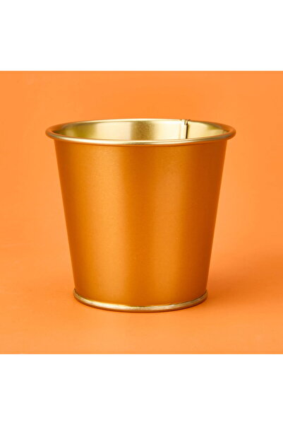 Genel Markalar Paslanmaz Saksı - Gold - 12x10 cm