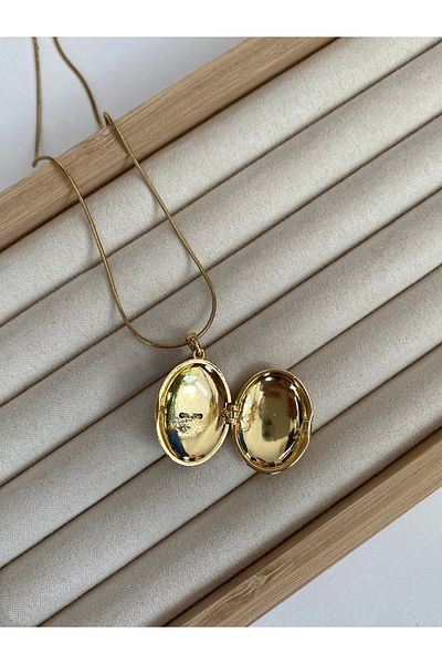 Pinery Jewels Phoenix Openable Lid Photography Can Be Stored Stainless Steel Women's Necklace