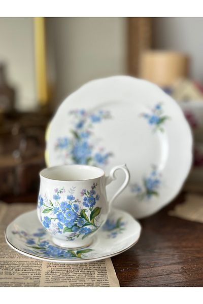 Royal Albert Antique Royal Albert Forget Me Not Floral Forget Me Not Porcelain Coffee Cup Trio Set of 3