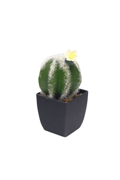 OEM Cactus in ghiveci, pvc/ceramica 20x9x9 cm verde M5