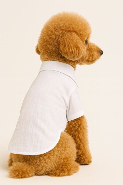 DOGİ&DOG Küçük Irk %100 Pamuk Yazlık Papyonlu Beyaz Köpek Gömleği Kedi Gömleği Köpek Kıyafeti(1-10KG)
