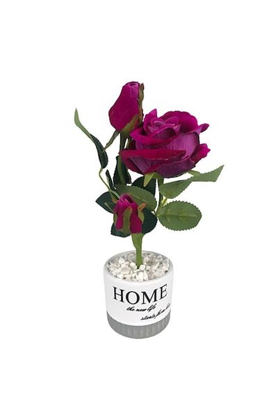 OEM Ceramic Pot with Plastic Rose, 'Home' Text, M5,10X29 cm