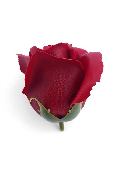 OEM Soap Roses Burgundy, 50 pcs/box, 5x6cm