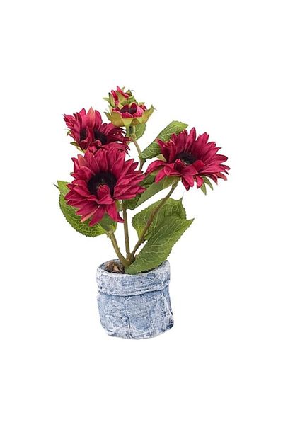 OEM Ghiveci cu crizanteme, 15x25 cm, ceramica si plastic, rosu-multicolor
