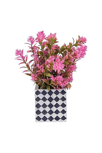 OEM Ghiveci cu planta ornamentala din plastic, 10x20 cm, roz-multicolor