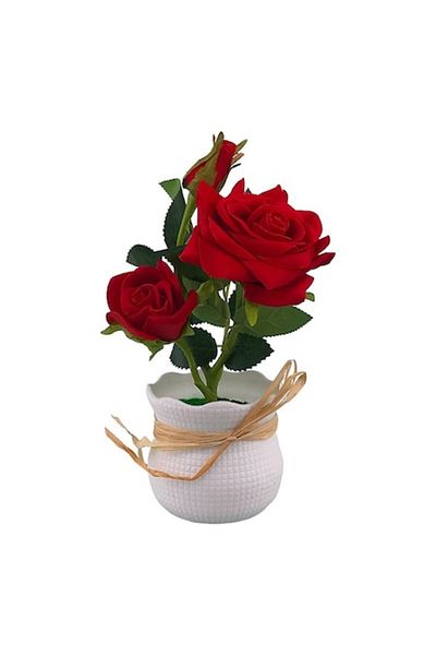 OEM Ceramic Pot with Roses, 10x24 cm, Multicolor