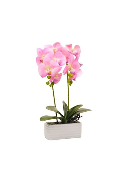 OEM Artificial Orchid in Ceramic Pot with Two Stems, 40x16x7.5 cm Pink