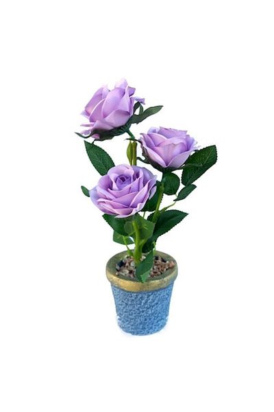 OEM Ghiveci cu 3 trandafiri, 9x27cm, multicolor, M1
