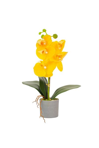 OEM Artificial Potted Orchid Flower 38x8x8 cm Yellow