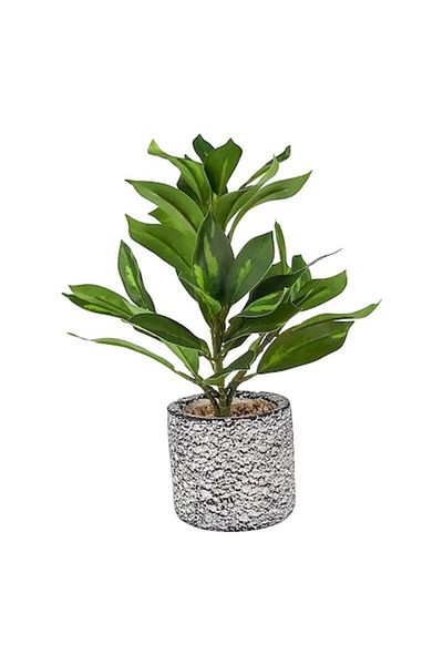OEM Ghiveci ceramic cu plantă ornamentală din plastic, 15x28 cm, multicolor, M1