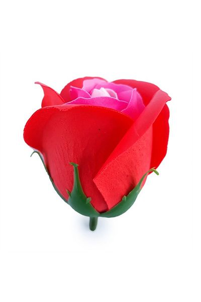 OEM Soap Roses, Red/Pink, 50 pcs/box, 5x6cm