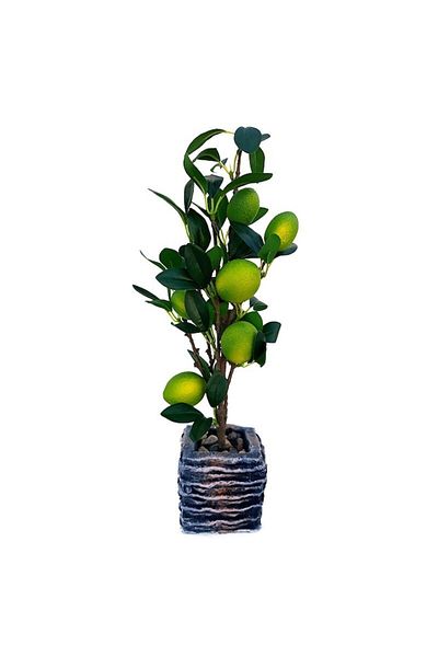 OEM Ceramic Pot with Lime, 10x42cm