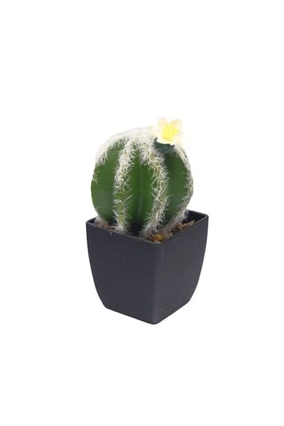OEM Cactus in ghiveci, pvc/ceramica 20x9x9 cm verde M5