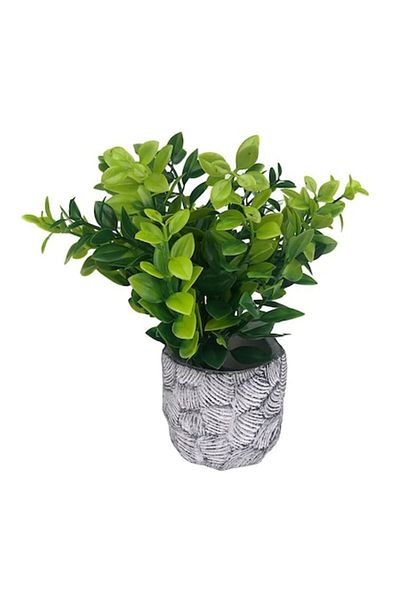 OEM Ghiveci ceramic cu flori din plastic, M3, 13x19 cm
