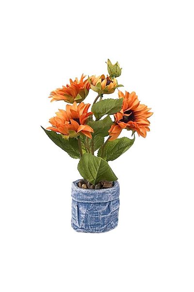OEM Potted Chrysanthemums, 15x25 cm, Ceramic and Plastic, Orange-Multicolor