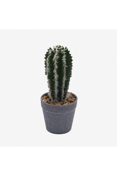 OEM Cactus in ghiveci, pvc/ceramica 20x9x9 cm verde M3