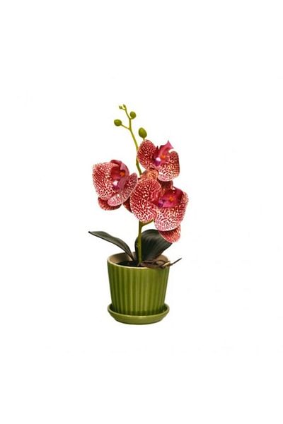 OEM Artificial Orchid in Pot, PVC/Ceramic 34x10 cm Multicolor