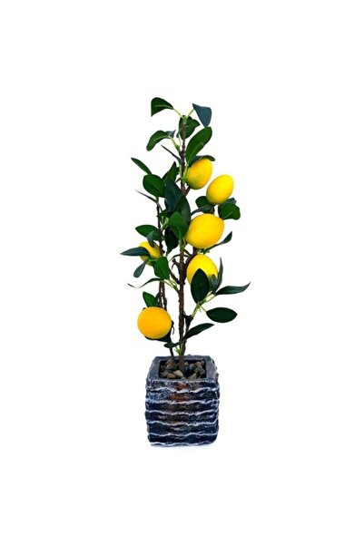 OEM Clepsidra cu nisip, 5 minute, 12cm