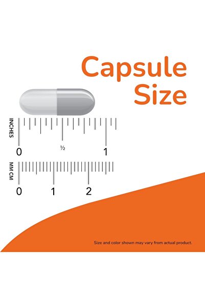 Now MSM 1000 mg 240 Vejetaryen Kapsül
